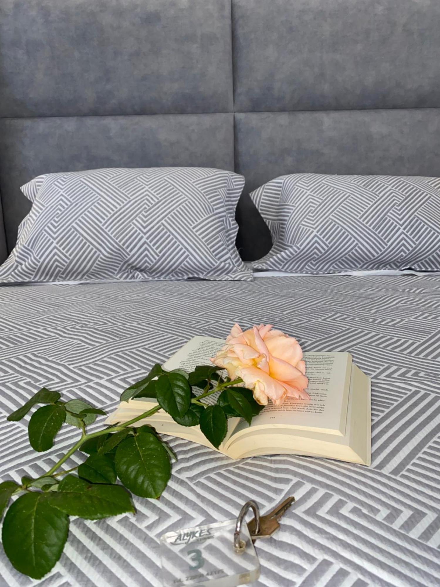 Alykes Studios & Suites Agios Prokopios  Luaran gambar